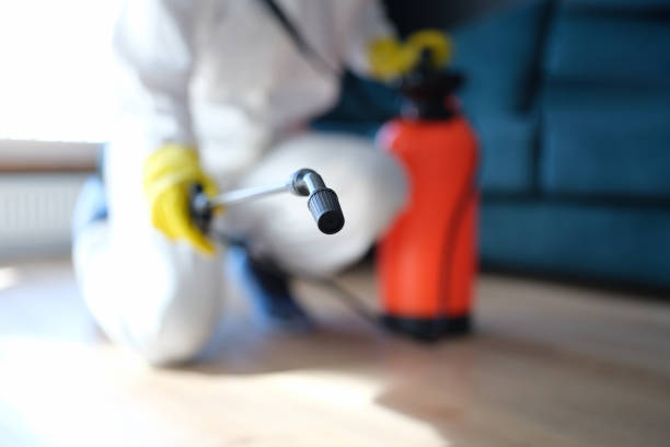 Best Environmental Consulting for Mold Prevention  in Maryville, MO
